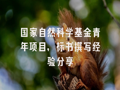 国家自然科学基金青年项目，标书撰写经验分享