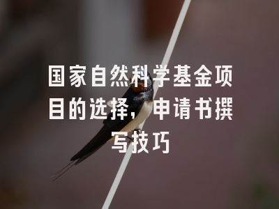 国家自然科学基金项目的选择，申请书撰写技巧