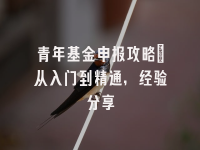 青年基金申报攻略：从入门到精通，经验分享