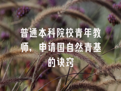 普通本科院校青年教师，申请国自然青基的诀窍