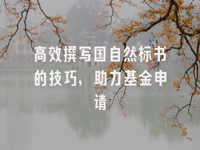 高效撰写国自然标书的技巧，助力基金申请