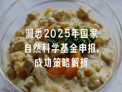 洞悉2025年国家自然科学基金申报，成功策略解析