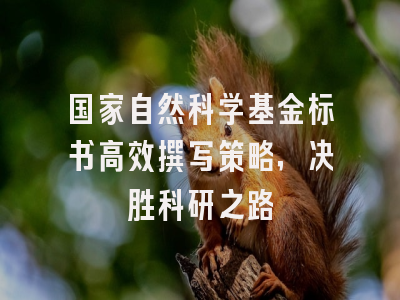 国家自然科学基金标书高效撰写策略，决胜科研之路