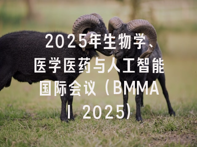 2025年生物学、医学医药与人工智能国际会议（BMMAI 2025）