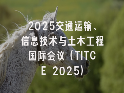 2025交通运输、信息技术与土木工程国际会议（TITCE 2025）