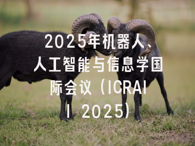 2025年机器人、人工智能与信息学国际会议（ICRAII 2025）