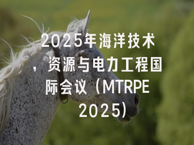 2025年海洋技术，资源与电力工程国际会议（MTRPE 2025）