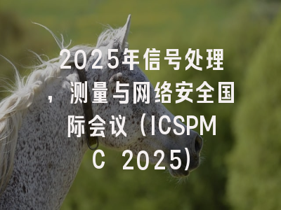 2025年信号处理，测量与网络安全国际会议（ICSPMC 2025）