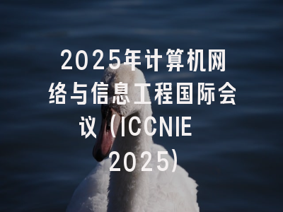 2025年计算机网络与信息工程国际会议（ICCNIE 2025）