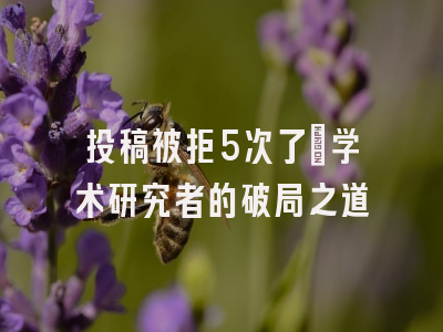 投稿被拒5次了_学术研究者的破局之道