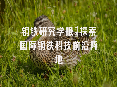 钢铁研究学报_探索国际钢铁科技前沿阵地