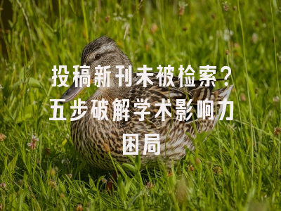 投稿新刊未被检索？五步破解学术影响力困局