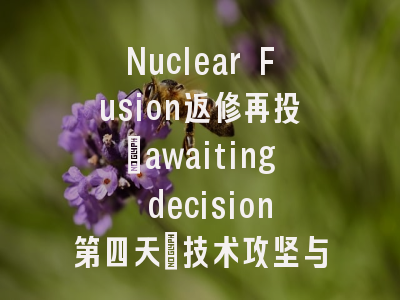 Nuclear Fusion返修再投_awaiting decision第四天：技术攻坚与学术突围的双重挑战