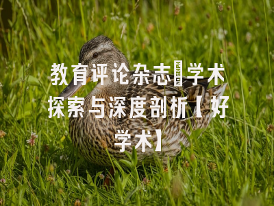 教育评论杂志：学术探索与深度剖析【好学术】