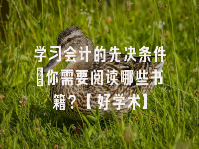 学习会计的先决条件：你需要阅读哪些书籍？【好学术】