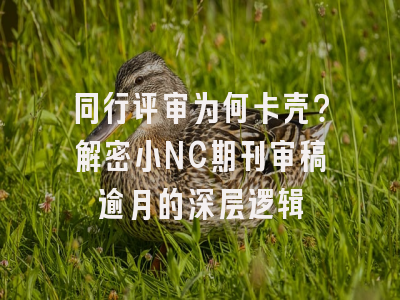 同行评审为何卡壳？解密小NC期刊审稿逾月的深层逻辑