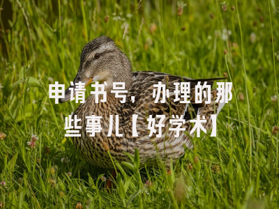 申请书号，办理的那些事儿【好学术】