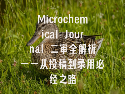 Microchemical Journal 二审全解析——从投稿到录用必经之路