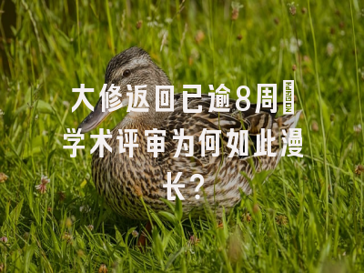 大修返回已逾8周：学术评审为何如此漫长？