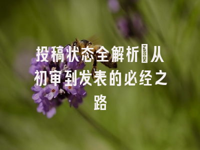 投稿状态全解析：从初审到发表的必经之路
