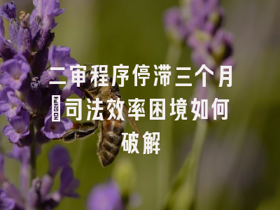 二审程序停滞三个月_司法效率困境如何破解