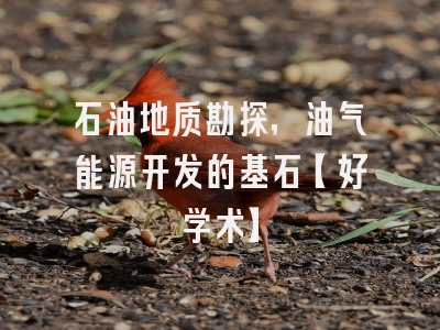 石油地质勘探，油气能源开发的基石【好学术】