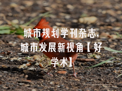 城市规划学刊杂志，城市发展新视角【好学术】