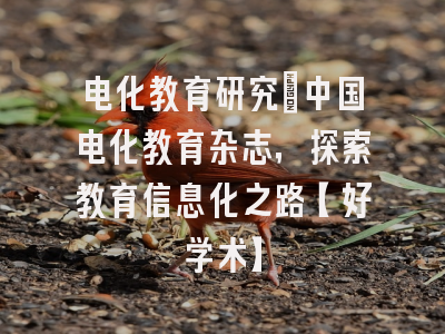 电化教育研究：中国电化教育杂志，探索教育信息化之路【好学术】