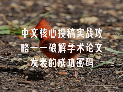中文核心投稿实战攻略——破解学术论文发表的成功密码