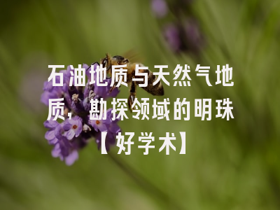 石油地质与天然气地质，勘探领域的明珠【好学术】