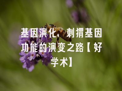 基因演化，刺猬基因功能的演变之路【好学术】