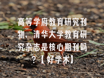 高等学府教育研究刊物，清华大学教育研究杂志是核心期刊吗？【好学术】