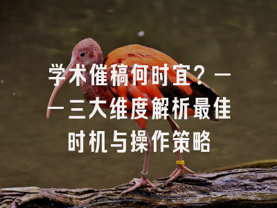 学术催稿何时宜？——三大维度解析最佳时机与操作策略