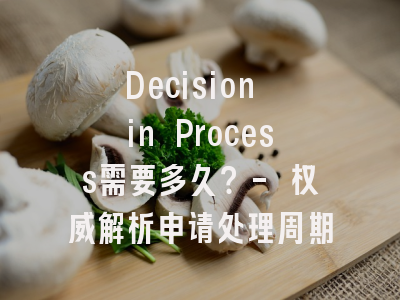 Decision in Process需要多久？- 权威解析申请处理周期
