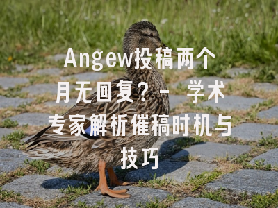 Angew投稿两个月无回复？- 学术专家解析催稿时机与技巧