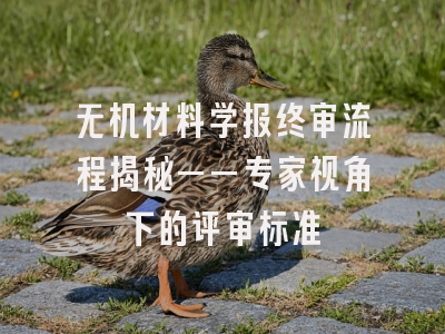 无机材料学报终审流程揭秘——专家视角下的评审标准