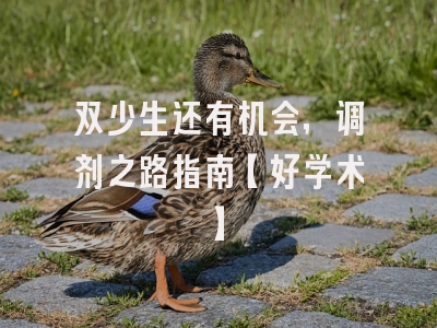 双少生还有机会，调剂之路指南【好学术】