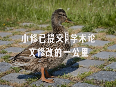 小修已提交：学术论文修改的一公里