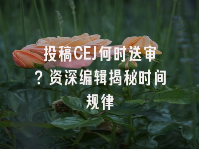 投稿CEJ何时送审？资深编辑揭秘时间规律