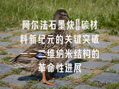 阿尔法石墨炔：碳材料新纪元的关键突破——二维纳米结构的革命性进展