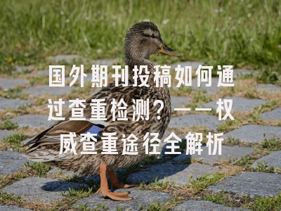 国外期刊投稿如何通过查重检测？——权威查重途径全解析