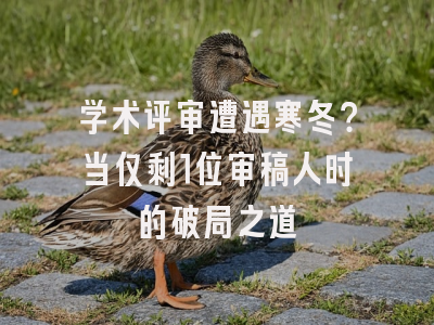 学术评审遭遇寒冬？当仅剩1位审稿人时的破局之道