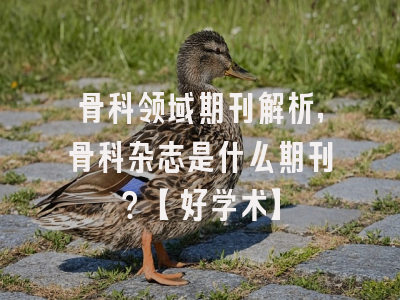 骨科领域期刊解析，骨科杂志是什么期刊？【好学术】