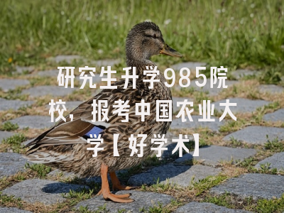研究生升学985院校，报考中国农业大学【好学术】