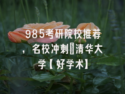 985考研院校推荐，名校冲刺：清华大学【好学术】