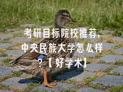 考研目标院校推荐，中央民族大学怎么样？【好学术】