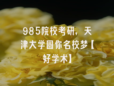 985院校考研，天津大学圆你名校梦【好学术】