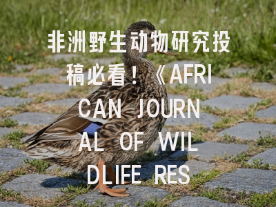 非洲野生动物研究投稿必看！《AFRICAN JOURNAL OF WILDLIFE RESEARCH》的黄金法则
