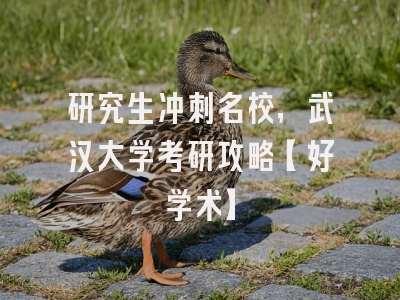 研究生冲刺名校，武汉大学考研攻略【好学术】