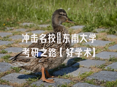 冲击名校：东南大学考研之路【好学术】